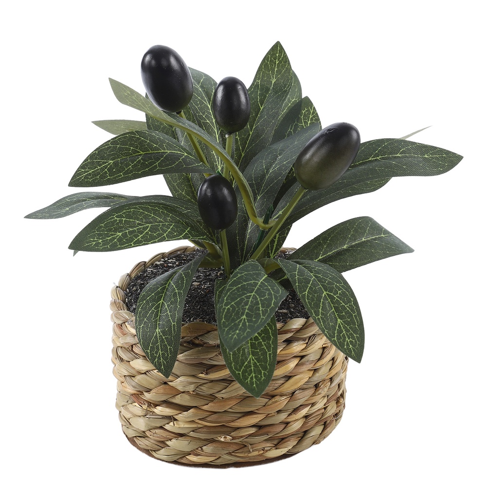 Artificial Plants Pocket Olive - Office Furniture Brands ulasan dan harga